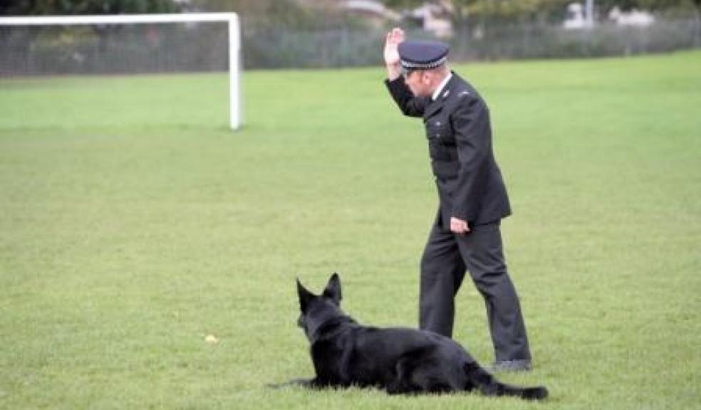 Devon and Cornwall Police crowns its champion dog and handler The